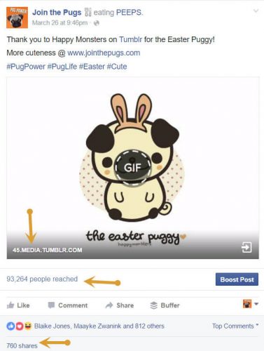 Gif’s can be a successful addition to your brand’s awareness.