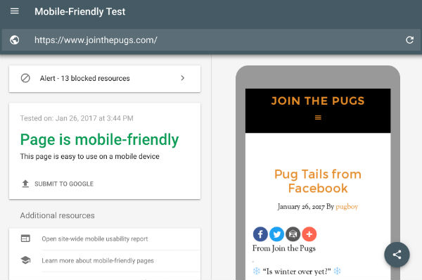 Google Mobile Friendly Test Site