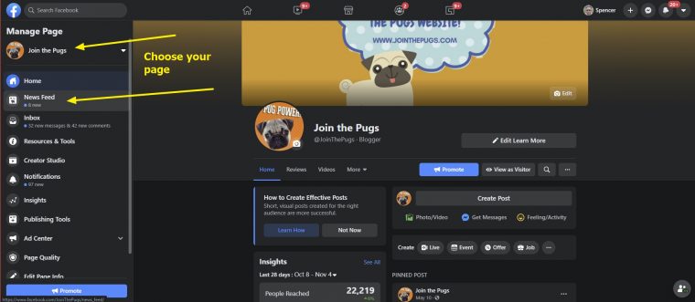 How to access the Facebook Pages Feed updated November 2020