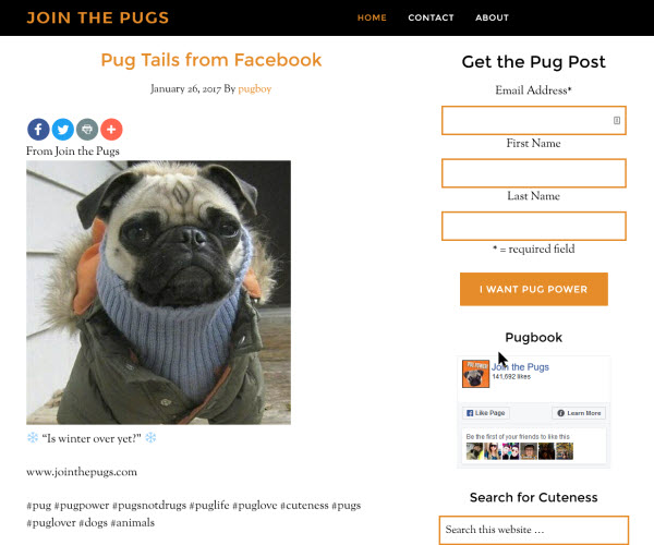 Join the pugs desktop version