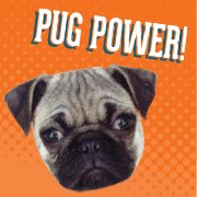 Pug Power