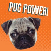 Pug power