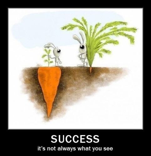 Success is Perception