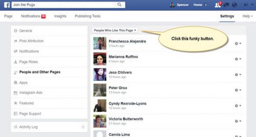 click this button to change to Pages who have liked your Page