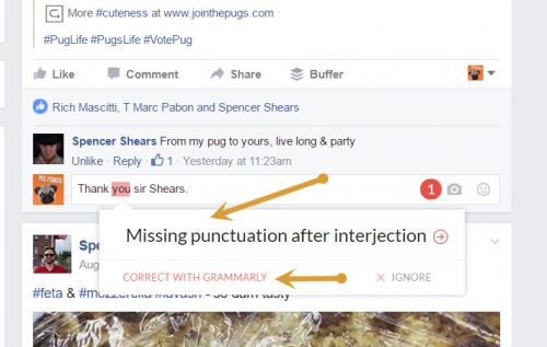 Grammarly on facebook